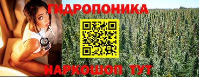 прущие крисы Бузулук
