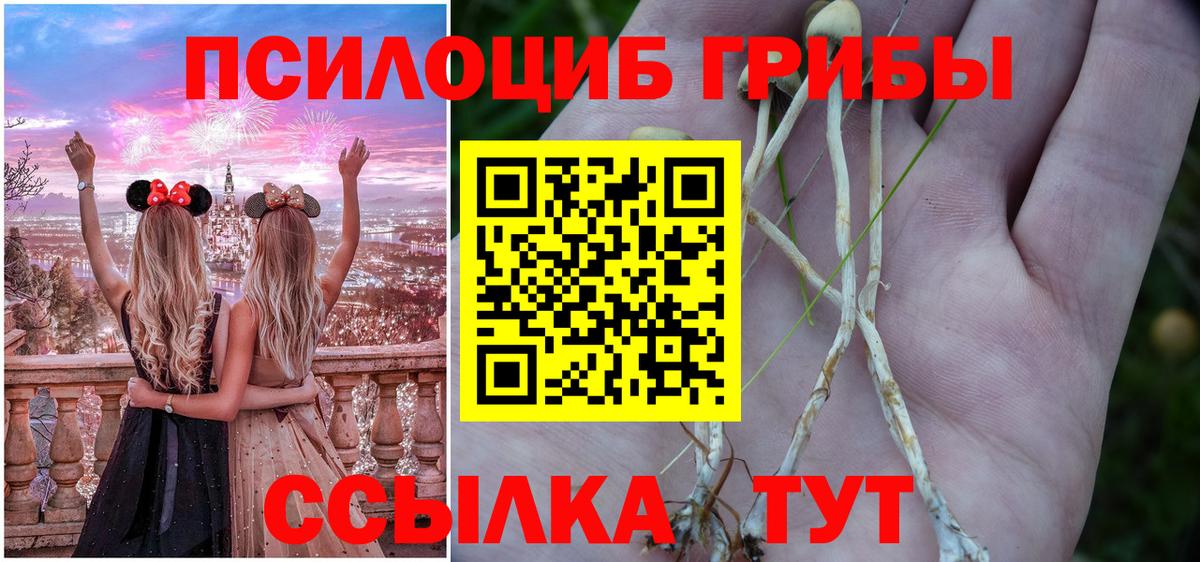 Псилоцибиновые грибы прущие грибы Юрга