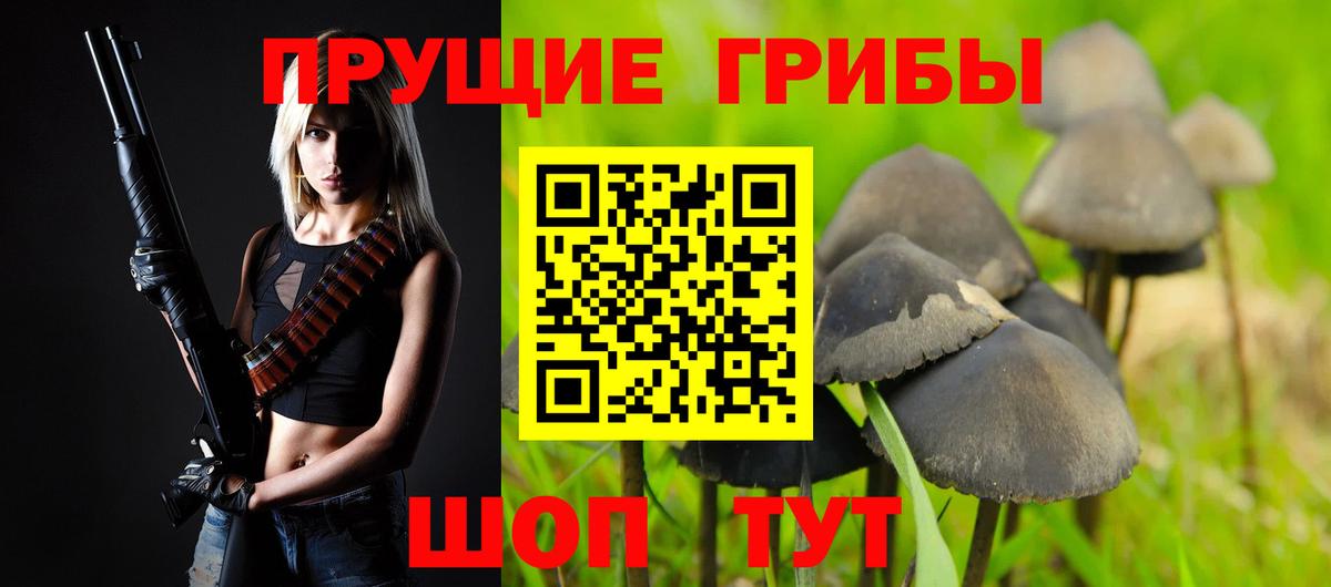 наркота  Вход с VPN  Юрга  Псилоцибиновые грибы мицелий 